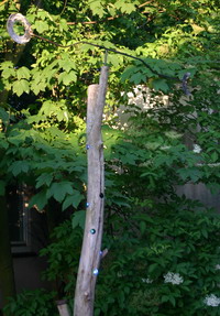 Lange Nacht 2008_5746a_kl