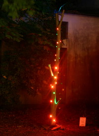 Lange Nacht 2008_5801a_kl